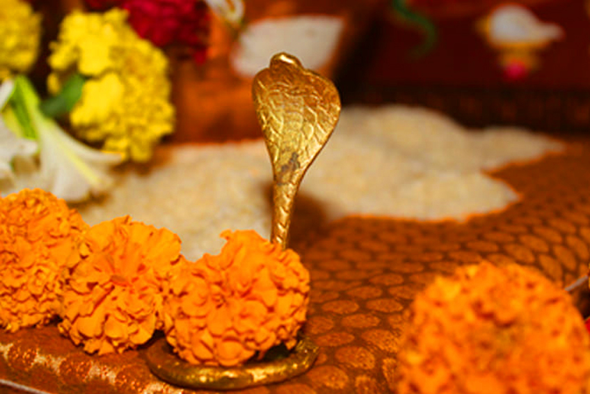 narayan nagbali Puja Information