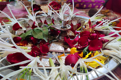 Kaalsarp Puja Gallry 