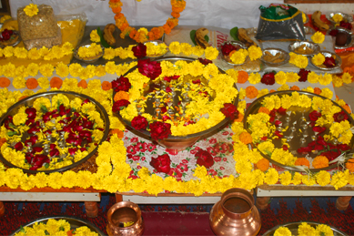 Kaalsarp Puja Gallry 